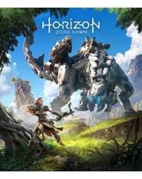 Horizon Steam Gift