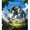 Horizon Steam Gift