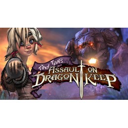 Borderlands 2 - Tiny Tina's Assault on Dragon Keep DLC EU Steam CD Key