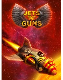 Jets'n'Guns Gold Steam CD Key