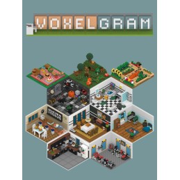 Voxelgram Steam CD Key