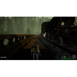 Jane Westlake Adventures: The Mystery Train Steam CD Key