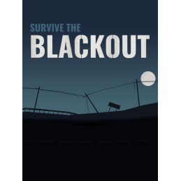 Survive the Blackout PC Steam CD Key