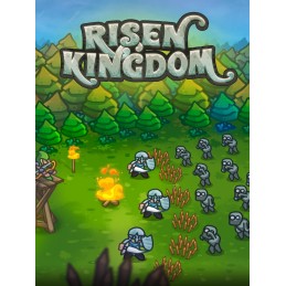 Risen Kingdom Steam CD Key