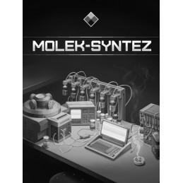 MOLEK-SYNTEZ Steam CD Key