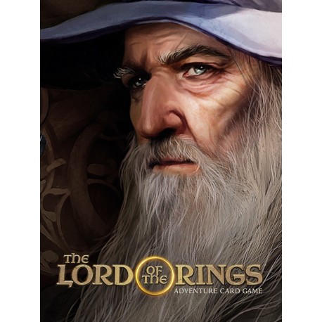 The Lord of the Rings Adventure Card Game Definitive Edition Steam CD Key