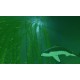 ABZU EU XBOX One CD Key