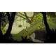 Lara Croft GO NA PS4 CD Key