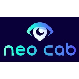 Neo Cab Steam CD Key