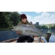 The Catch: Carp & Coarse PC Steam CD Key