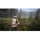 Hunting Simulator 2 Bear Hunter Edition Steam CD Key