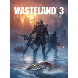 Wasteland 3 EU Steam CD Key