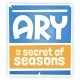 Ary and the Secret of Seasons Steam CD Key