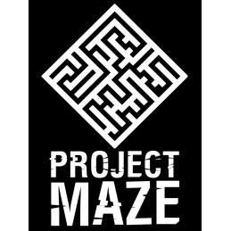 PROJECT MAZE Steam CD Key