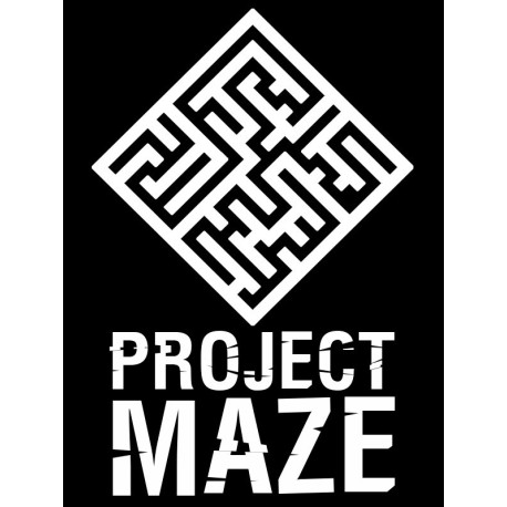 PROJECT MAZE Steam CD Key