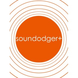 Soundodger+ and Soundtrack Steam CD Key