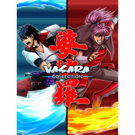 VASARA Collection US XBOX One CD Key