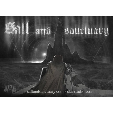 Salt and Sanctuary EU Steam CD Key