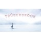 Truberbrook EU Steam CD Key