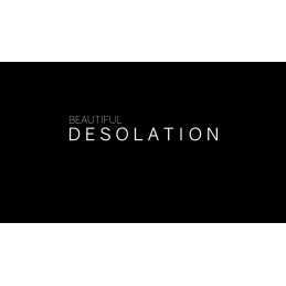 BEAUTIFUL DESOLATION Steam CD Key