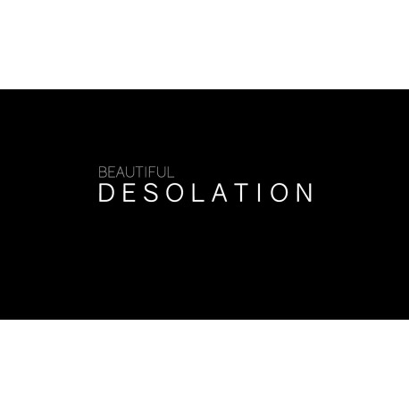 BEAUTIFUL DESOLATION Steam CD Key