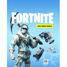 Fortnite Deep Freeze Bundle US Nintendo Switch CD Key