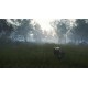 theHunter: Call of the Wild - Te Awaroa National Park DLC Steam CD Key