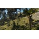 theHunter: Call of the Wild - Te Awaroa National Park DLC Steam CD Key