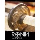 Ronin: Two Souls CHAPTER 1 Steam CD Key