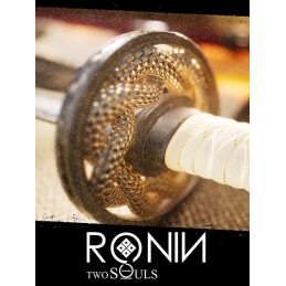 Ronin: Two Souls CHAPTER 1 Steam CD Key