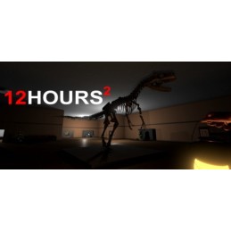 12 HOURS 2 Steam CD Key