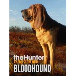 theHunter: Call of the Wild - Bloodhound DLC Steam CD Key