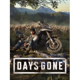 Days Gone PC Steam CD Key