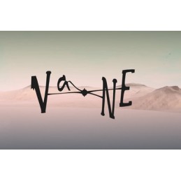 Vane EU Steam CD Key