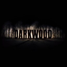 Darkwood EU Steam CD Key