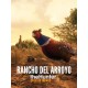 theHunter: Call of the Wild - Rancho del Arroyo DLC PC Steam CD Key