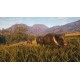 theHunter: Call of the Wild - Rancho del Arroyo DLC PC Steam CD Key