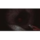 Depths Of Horror: Mushroom Day Steam CD Key