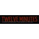 Twelve Minutes Steam Altergift