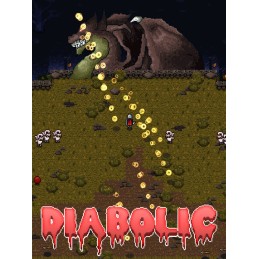 Diabolic Steam CD Key