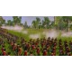 Empire: Total War Steam Gift