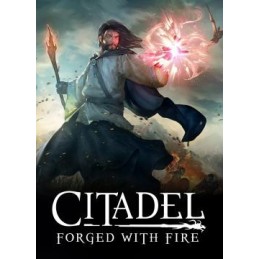 Citadel: Forged with Fire EU XBOX One CD Key