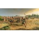 Total War Saga: TROY - Amazons DLC Steam Altergift