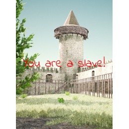 You Are A Slave! Steam CD Key