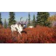 theHunter: Call of the Wild - Yukon Valley DLC PC Steam CD Key