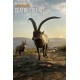 theHunter: Call of the Wild - Cuatro Colinas Game Reserve DLC PC Steam CD Key