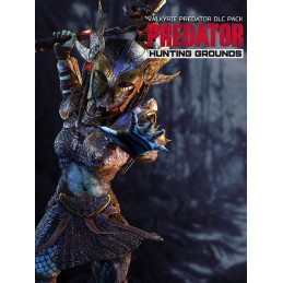 Predator: Hunting Grounds - Valkyrie Predator DLC Pack Steam CD Key