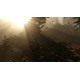 The Forest PC Steam CD Key