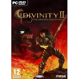 Divinity II: The Dragon Knight Saga Steam Gift