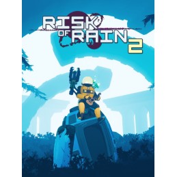 Risk of Rain 2 EN Language EU Steam CD Key